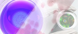 Soluciones de cultivo celular de Thermo Scientific